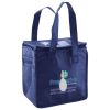 Lunch Tote  Insulated Thumbnail