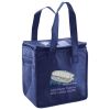 Lunch Tote  Insulated Thumbnail