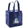 Lunch Tote  Insulated Thumbnail