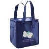 Lunch Tote  Insulated Thumbnail