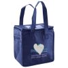 Lunch Tote  Insulated Thumbnail
