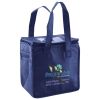 Lunch Tote  Insulated Thumbnail