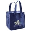Lunch Tote  Insulated Thumbnail