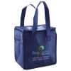 Lunch Tote  Insulated Thumbnail