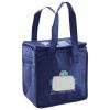 Lunch Tote  Insulated Thumbnail