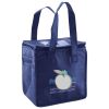 Lunch Tote  Insulated Thumbnail