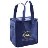 Lunch Tote  Insulated Thumbnail