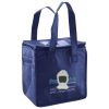 Lunch Tote  Insulated Thumbnail