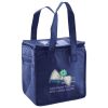 Lunch Tote  Insulated Thumbnail