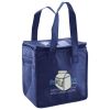 Lunch Tote  Insulated Thumbnail