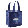 Lunch Tote  Insulated Thumbnail