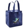 Lunch Tote  Insulated Thumbnail
