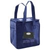 Lunch Tote  Insulated Thumbnail