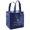 Lunch Tote  Insulated Thumbnail