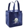 Lunch Tote  Insulated Thumbnail
