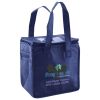 Lunch Tote  Insulated Thumbnail