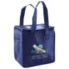 Lunch Tote  Insulated Thumbnail