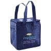 Lunch Tote  Insulated Thumbnail