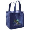Lunch Tote  Insulated Thumbnail