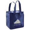Lunch Tote  Insulated Thumbnail