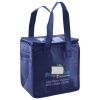 Lunch Tote  Insulated Thumbnail