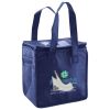Lunch Tote  Insulated Thumbnail