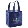 Lunch Tote  Insulated Thumbnail
