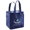 Lunch Tote  Insulated Thumbnail