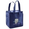 Lunch Tote  Insulated Thumbnail