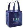 Lunch Tote  Insulated Thumbnail