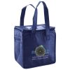 Lunch Tote  Insulated Thumbnail