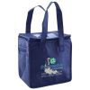 Lunch Tote  Insulated Thumbnail