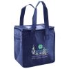 Lunch Tote  Insulated Thumbnail