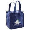 Lunch Tote  Insulated Thumbnail