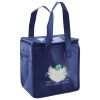 Lunch Tote  Insulated Thumbnail