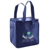 Lunch Tote  Insulated Thumbnail