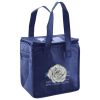 Lunch Tote  Insulated Thumbnail