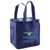 Lunch Tote  Insulated Thumbnail