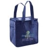 Lunch Tote  Insulated Thumbnail