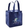 Lunch Tote  Insulated Thumbnail