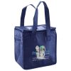 Lunch Tote  Insulated Thumbnail