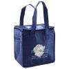 Lunch Tote  Insulated Thumbnail