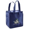Lunch Tote  Insulated Thumbnail