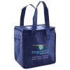 Lunch Tote  Insulated Thumbnail