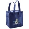 Lunch Tote  Insulated Thumbnail