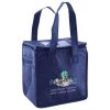 Lunch Tote  Insulated Thumbnail