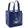 Lunch Tote  Insulated Thumbnail
