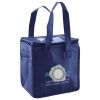 Lunch Tote  Insulated Thumbnail