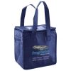Lunch Tote  Insulated Thumbnail
