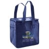 Lunch Tote  Insulated Thumbnail